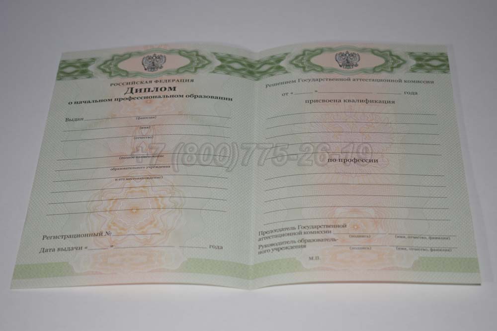 Бланк диплома ПТУ Гознак 2011-2025 год выпуска г.Барнаул