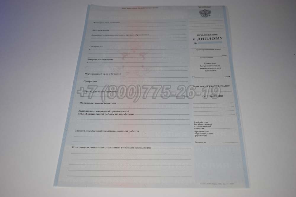 Приложение к диплому ПТУ Гознак 2007-2010 год выпуска г.Барнаул
