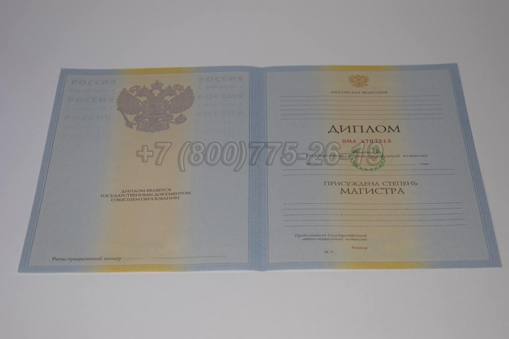 Бланк диплома магистра Гознак 2009-2010 год выпуска г.Барнаул