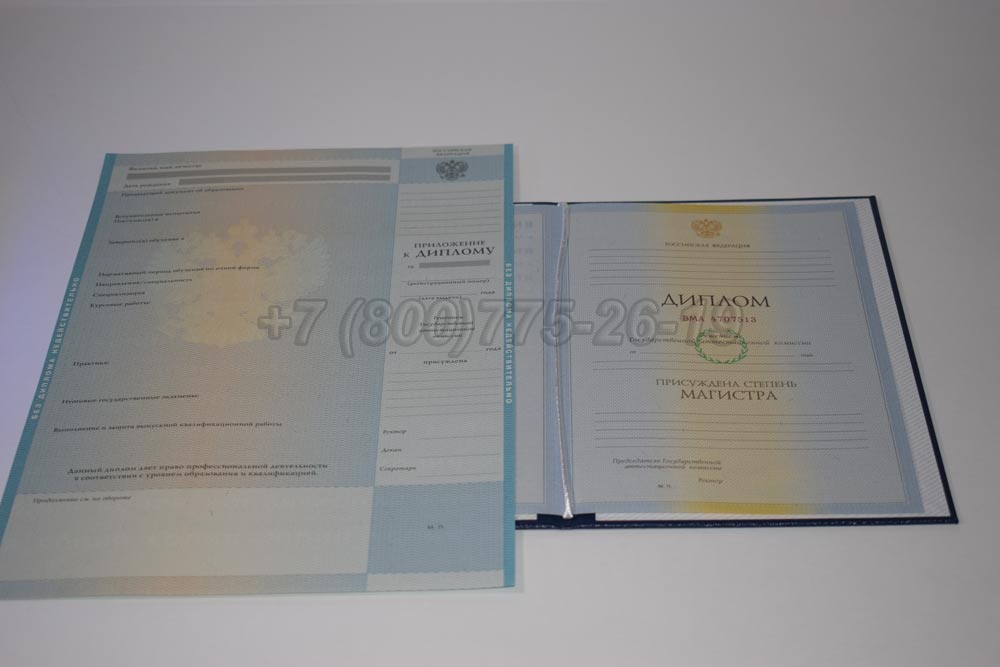Диплом магистра Гознак 2009-2010 год выпуска г.Барнаул
