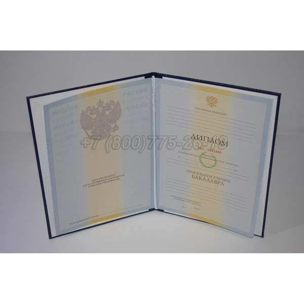 Диплом бакалавра 2009-2010 г.в. Барнаул