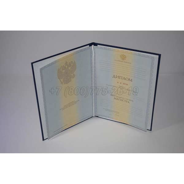 Диплом магистра 2011-2013 г.в. Барнаул