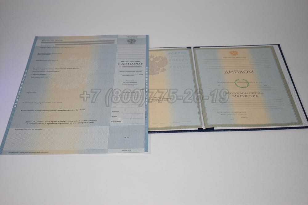 Диплом магистра Гознак 2003-2008 год выпуска г.Барнаул