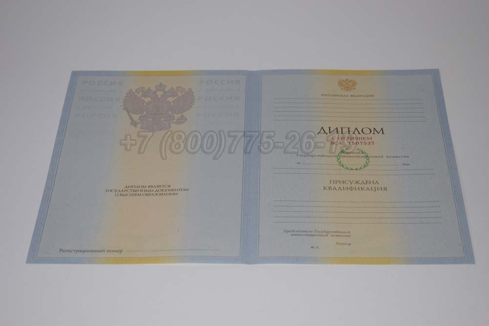 Бланк красного диплома о высшем образовании 2009-2010 год выпуска г.Барнаул