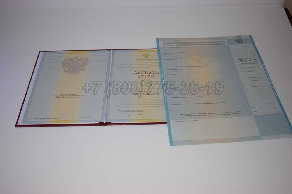 Красный диплом о высшем образовании 2009-2010 год г.Барнаул
