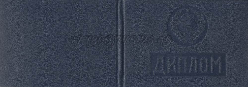 Диплом техникума Молдавской ССР Гознак 1975-1991 год выпуска г.Барнаул