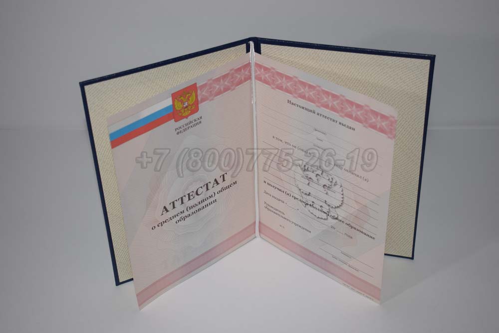 Аттестат за 11 класс Гознак 2008-2009 год выпуска г.Барнаул