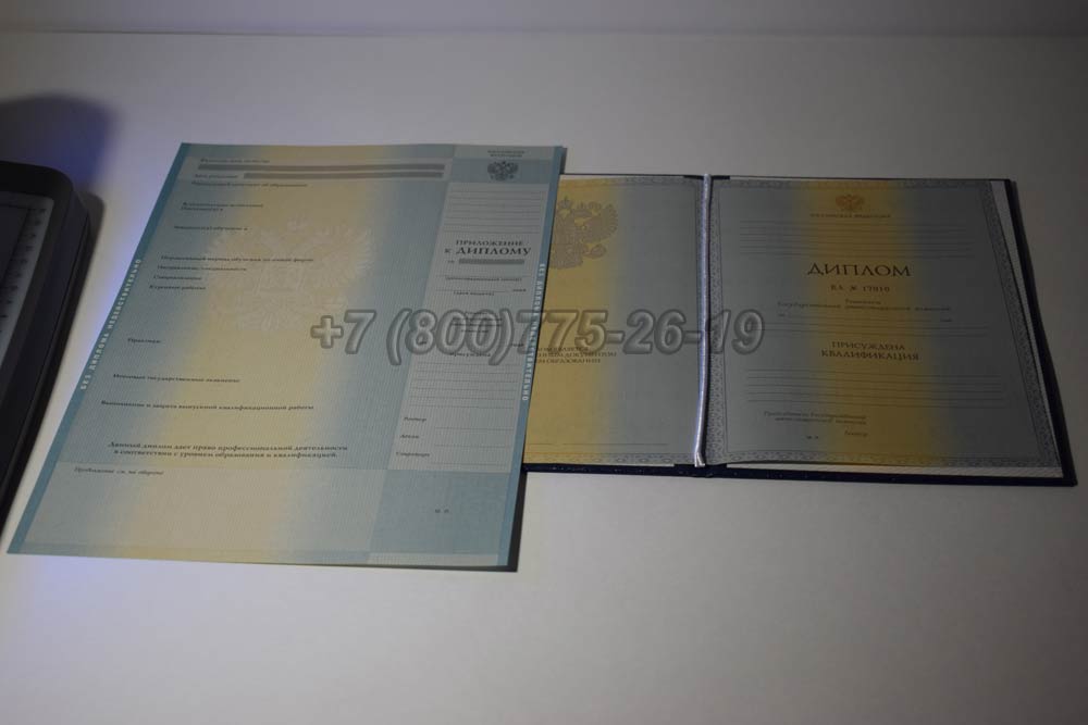 Диплом о высшем образовании Гознак 2011-2013 год выпуска г.Барнаул