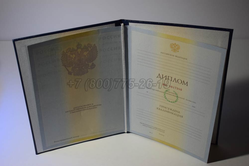 Диплом о высшем образовании Гознак 2009-2010 год выпуска г.Барнаул