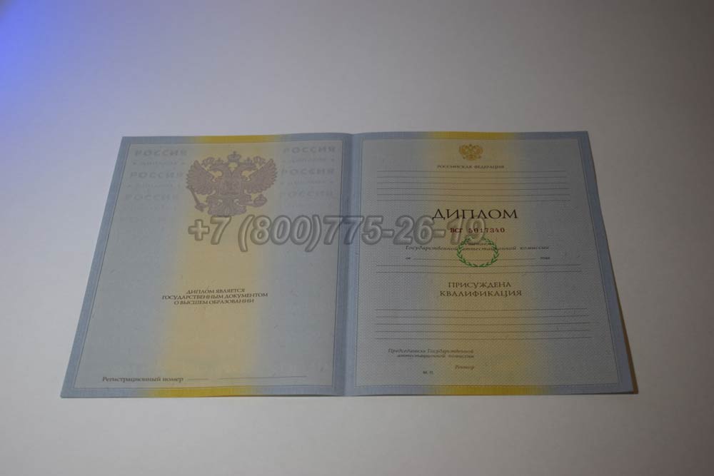 Бланк диплома о высшем образовании 2009-2010 год выпуска г.Барнаул