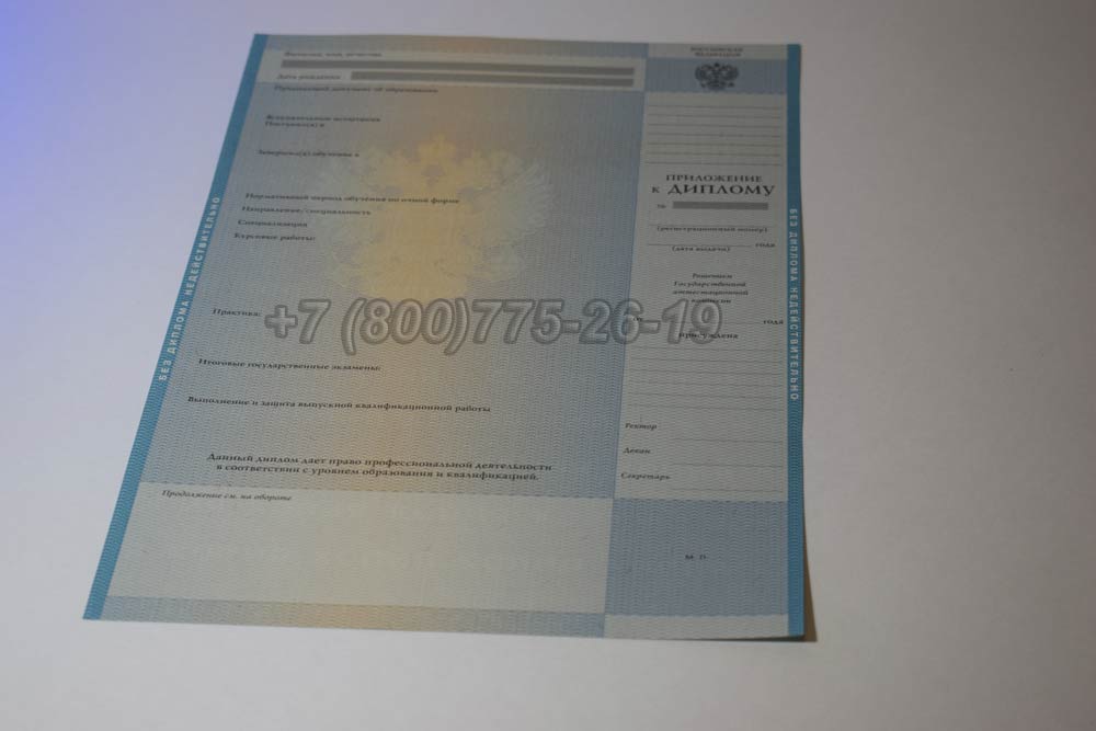 Приложение к диплому о высшем образовании 2009-2010 год выпуска г.Барнаул
