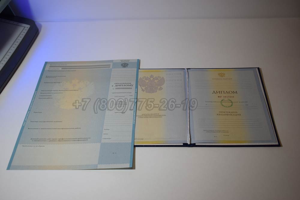 Диплом о высшем образовании 2009-2010 год г.Барнаул