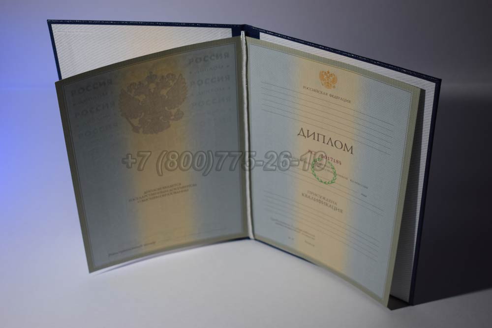 Диплом института Гознак 2003-2008 год выпуска г.Барнаул