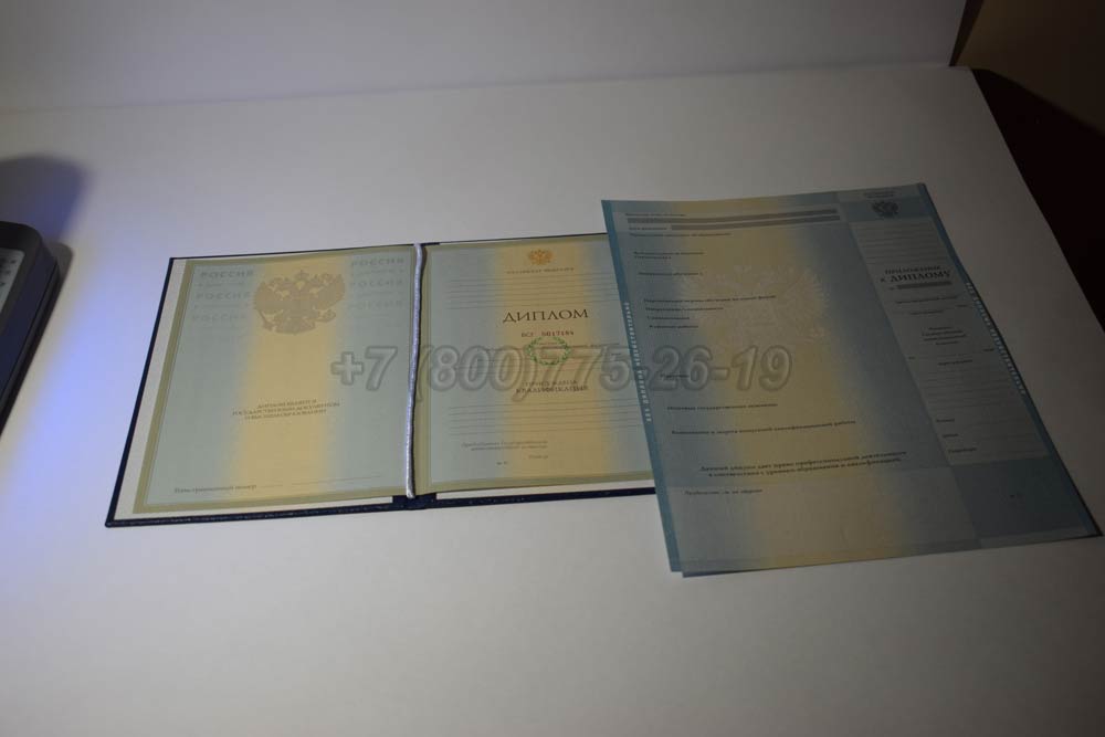 Бланк диплома института 2003-2008 год выпуска г.Барнаул