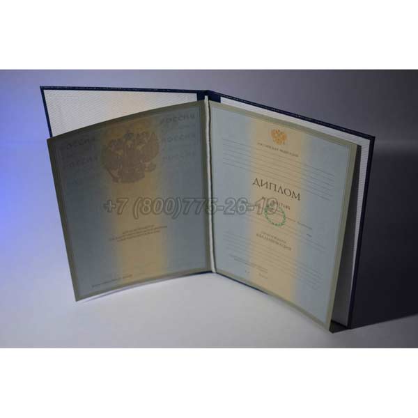 Диплом о высшем образовании 2003-2008 г.в. Барнаул